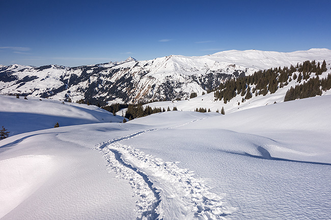 photo montagne alpes ski randonnée rando savoie beaufortain hauteluce outray