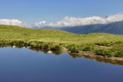 Face au Seigneur des Alpes