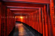 Fushimi-Inari - Chemin de toriis