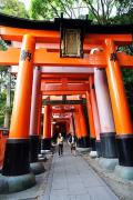 Fushimi-Inari - Chemin de toriis