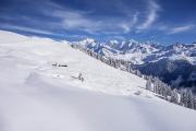 Alpages face au Mont Blanc
