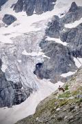 Alpinistes au pied du glacier de la Pilatte
