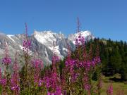 Le massif du Mont-Blanc côté italien