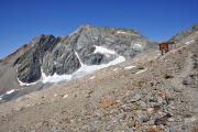 Vallée des Glaciers - De la Tête Nord des Fours au refuge Robert Blanc